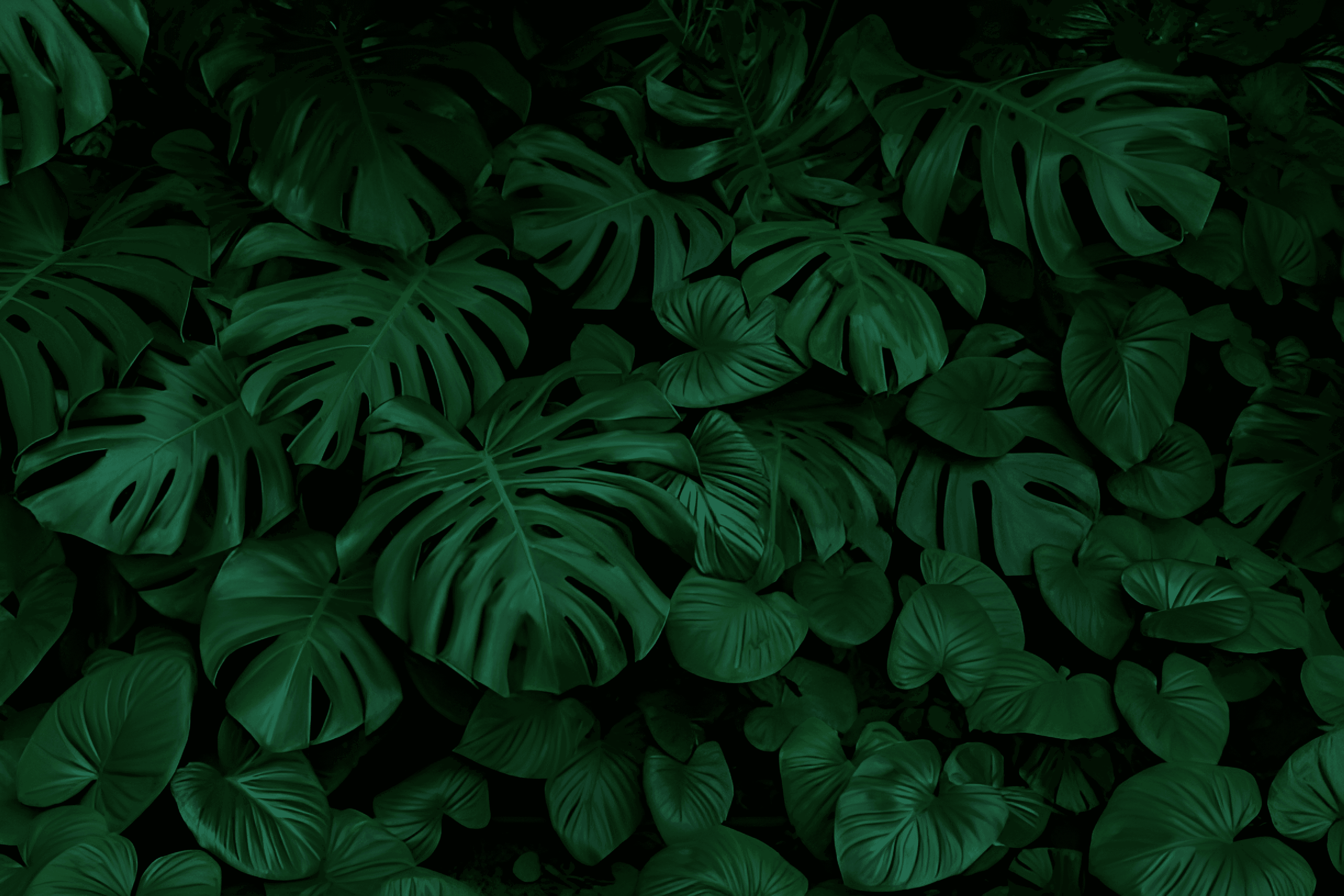 slider left img