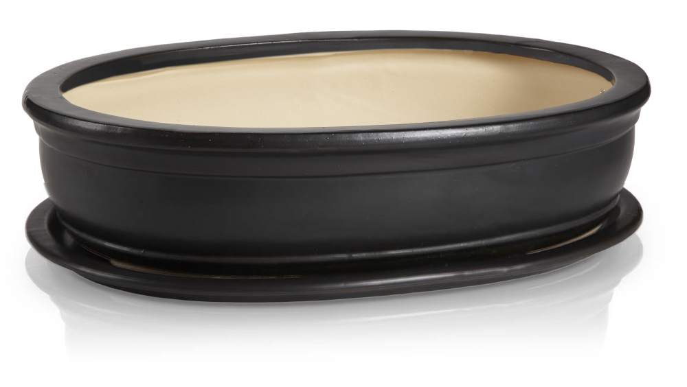 16.036.45 | bonzai owal z podst. - grafi...